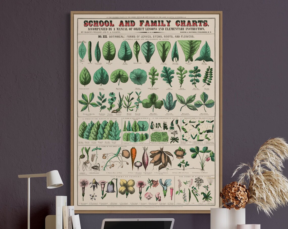 Botanical Botanical - Contemporary Travel Poster