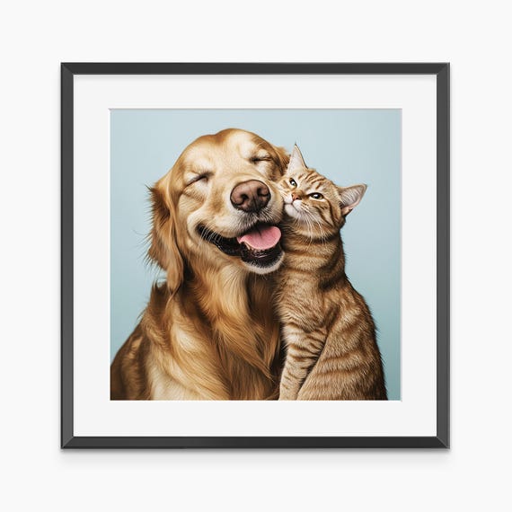 Dog And Cat Photography Prints Wall Art Animal Poster Funny Museum Quality
