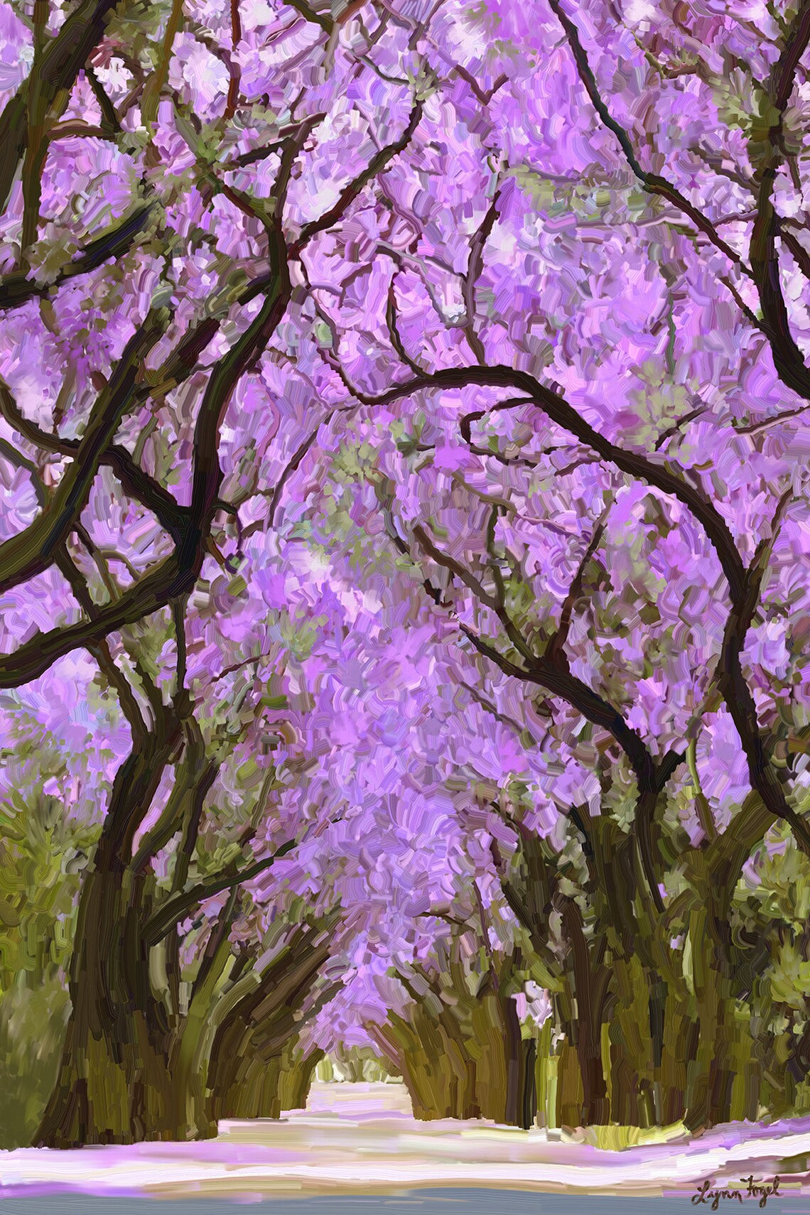 Jacaranda Trees 11x14 Matted Print Jacaranda In Landscape Prints Clearance Sale On Prints