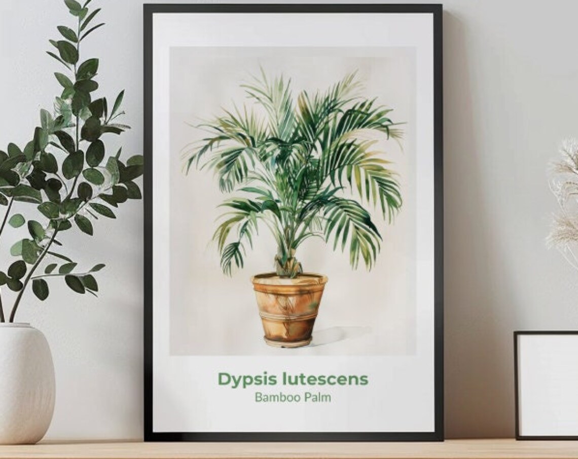 Dypsis Lutescens Bamboo Palm Potted Fronds Watercolor Poster Art - Image 2