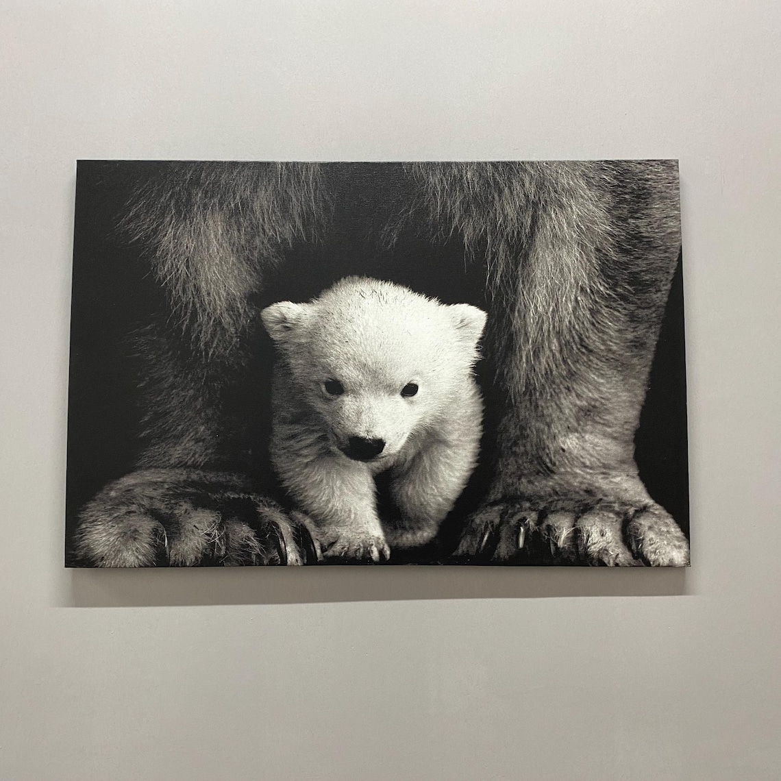 Baby Polar Bear Christmas Decor, Animal Art