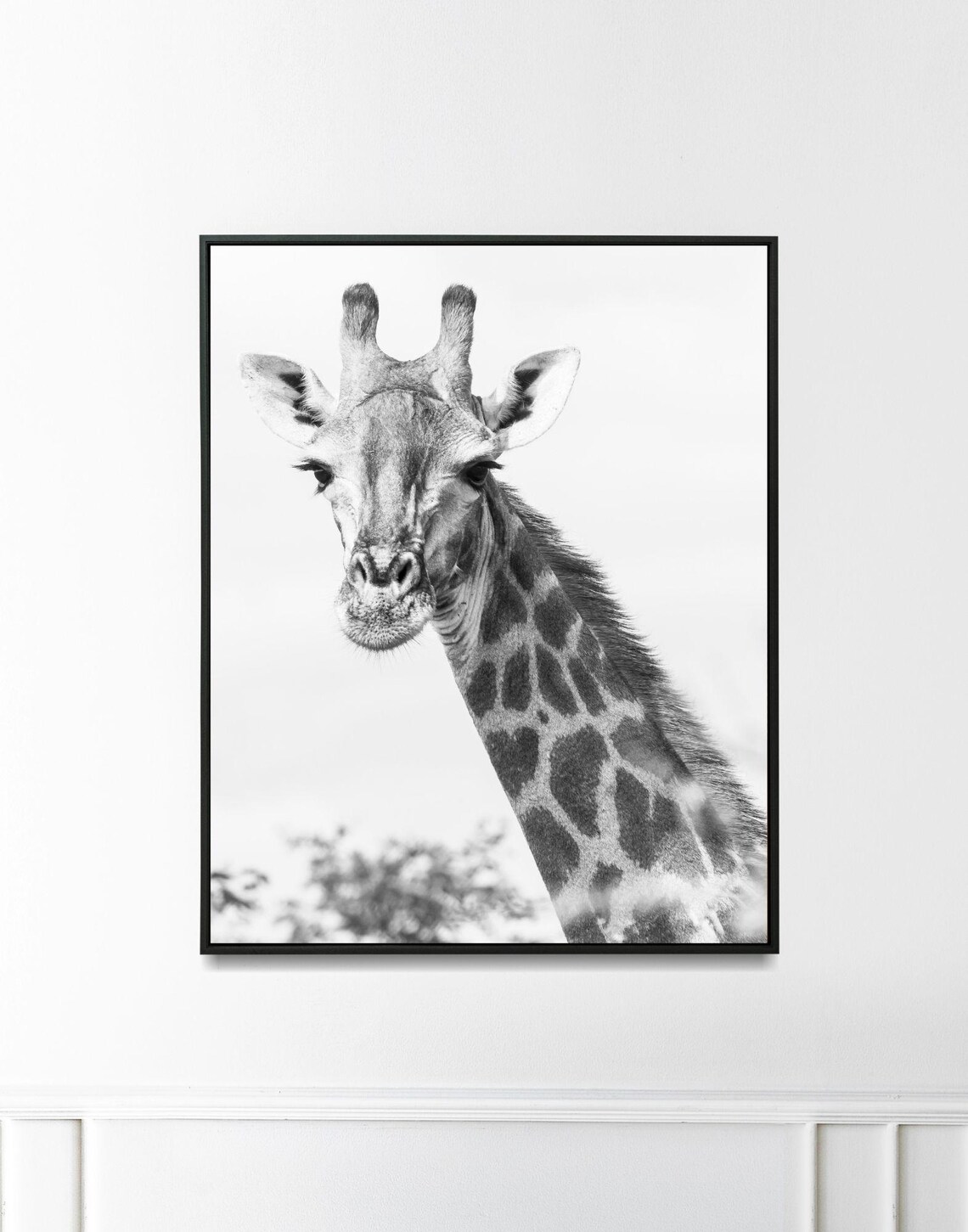 Giraffe Portrait Black And White Safari Wildlife Photography Poster - Image 3
