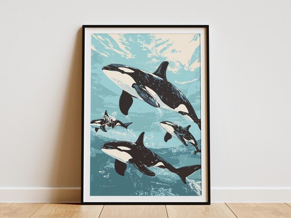 Pod of Four Orca Whales Swimming in Turquoise Ocean Water Poster