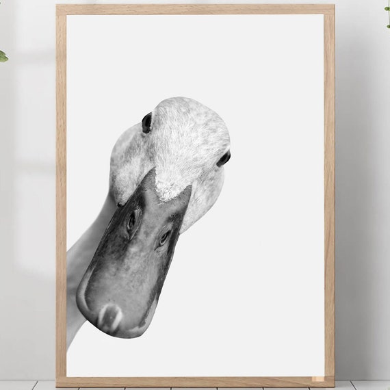 Duck Black And White Photo Art Print, Minimalist Nursery