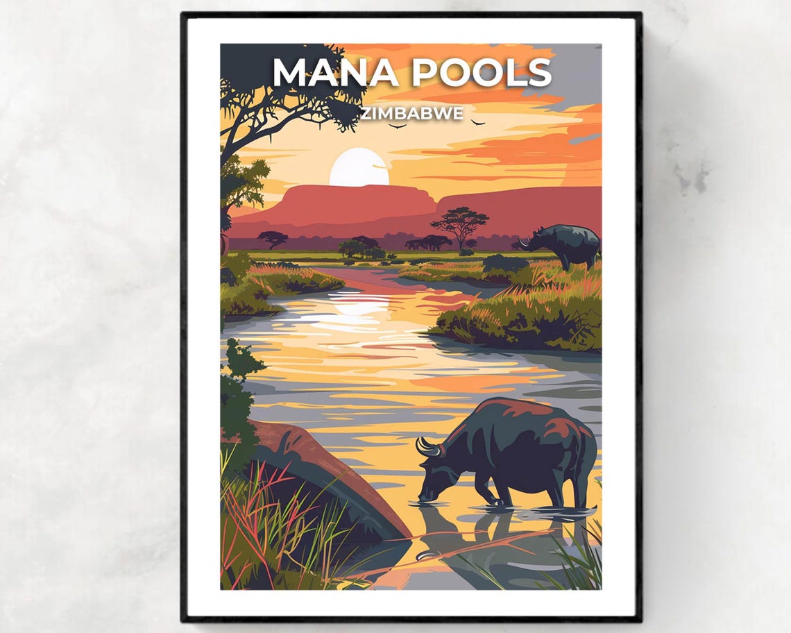 Mana Pools Zimbabwe Buffalo Drinking River Sunset Safari Poster