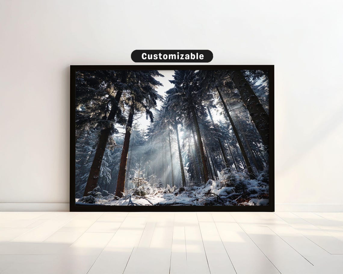 Snow Dusted Pine Forest With Sunlight Rays Winter Photo Poster