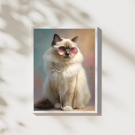 Ragdoll Cat Wall Art Cool In Sunglasses Print Pastel Background Pet Portrait Funny Full Body Instant