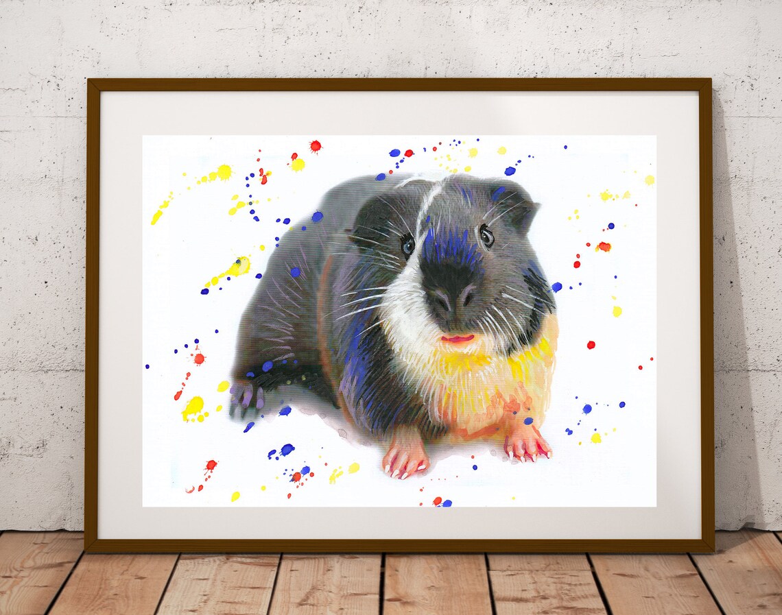Black and White Guinea Pig Colorful Splash Watercolor Poster