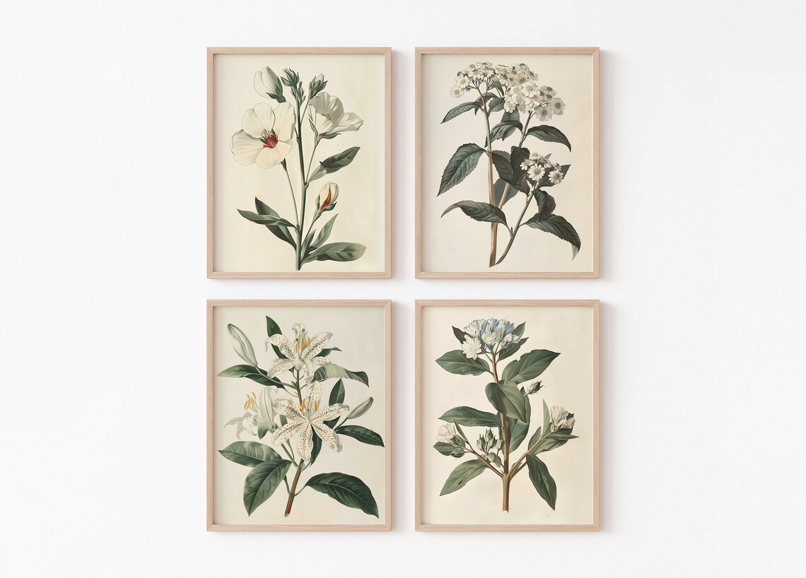 White Flower Botanical Set of 4 Vintage Floral Illustration Poster