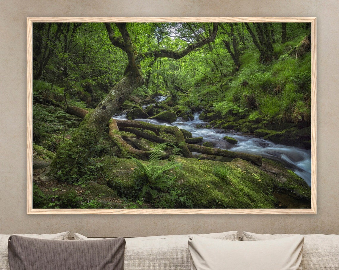Cornwall Forest Stream Mossy Rocks Flowing Water England Poster