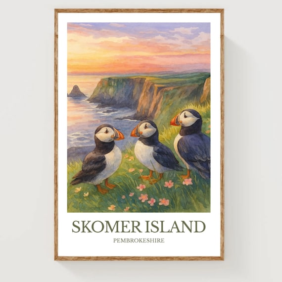 Skomer Island Puffins at Sunset Over Pembrokeshire Cliffs Poster