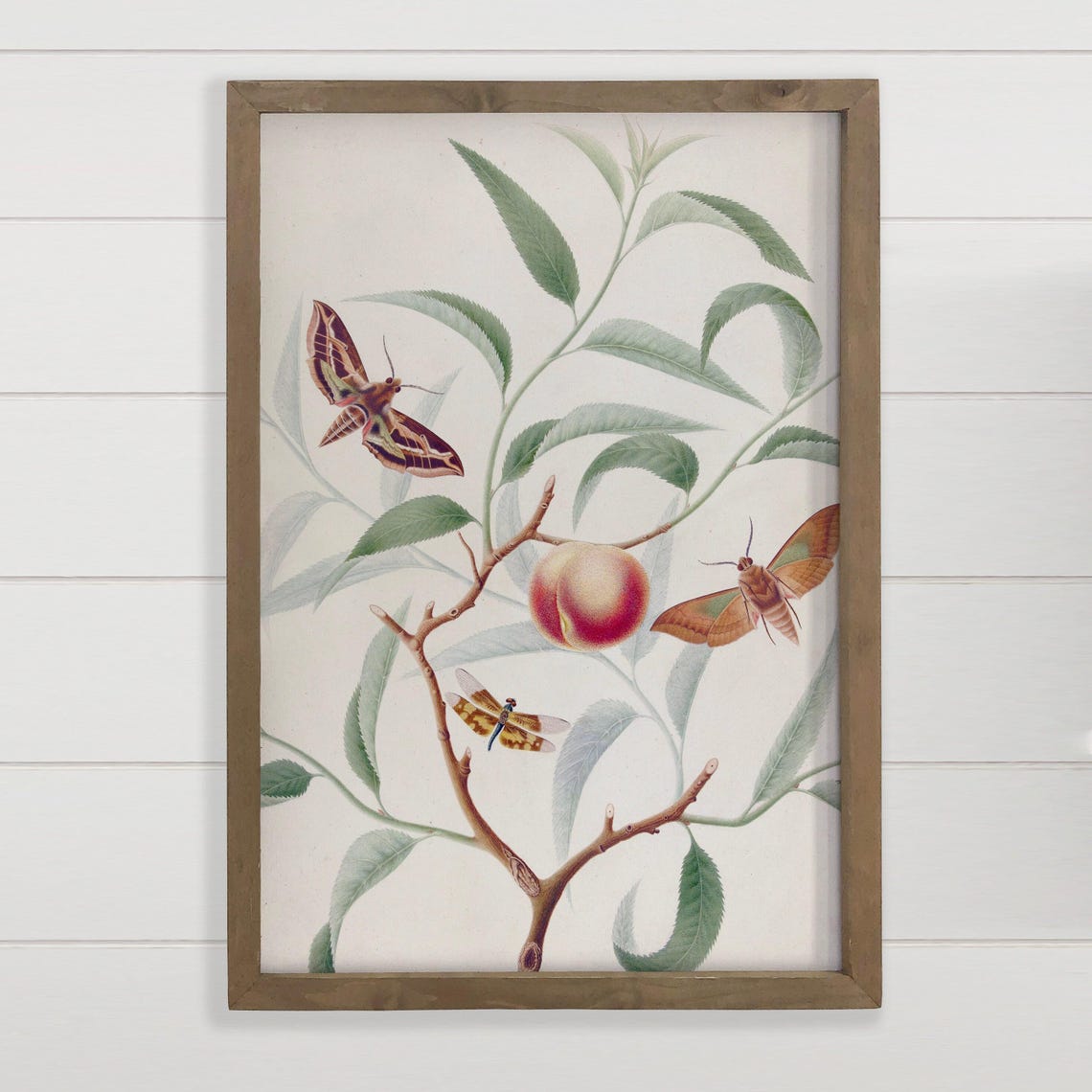 Vintage Peach Branch Botanical Study With Moths Nature Art Poster
