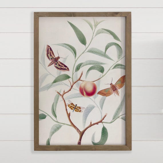 Botanical Wall Hanging Peach And Moths Nature Canvas Art Wood Framed