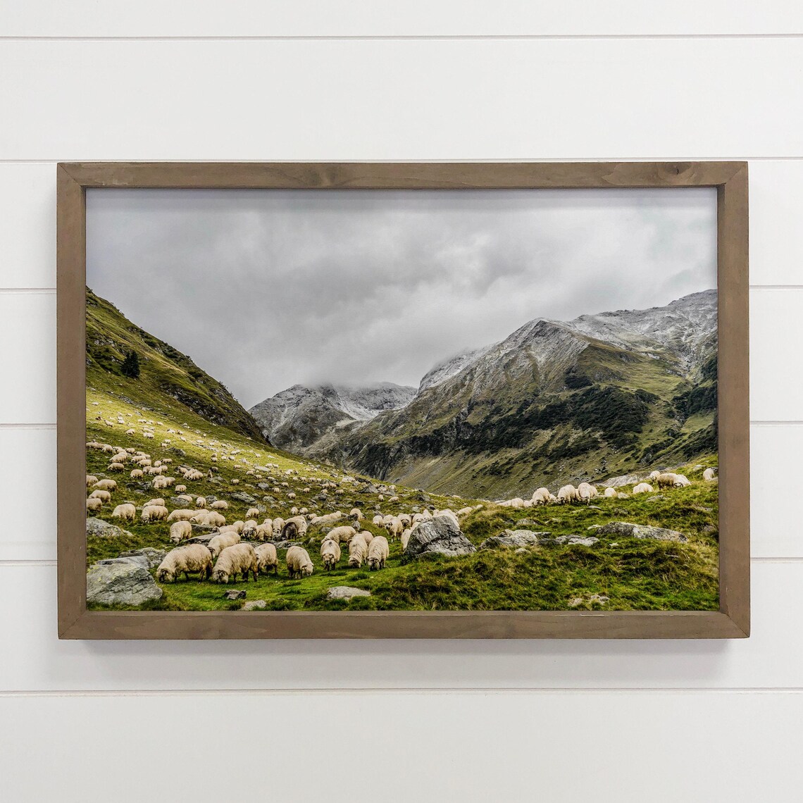 Grazing Sheep Mountain Pasture Landscape Photo Wall Art for Cabin