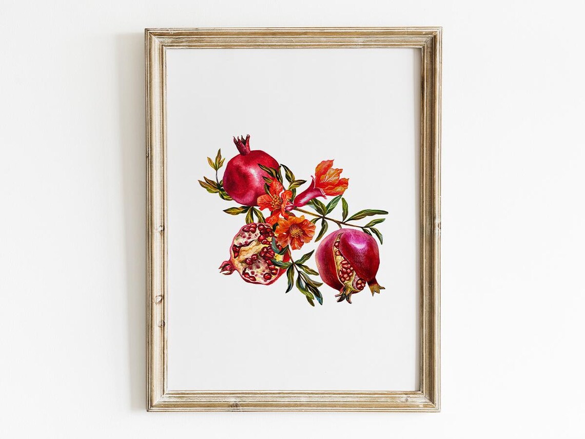 Pomegranate Botanical Watercolor, Retro Kitchen Art Print