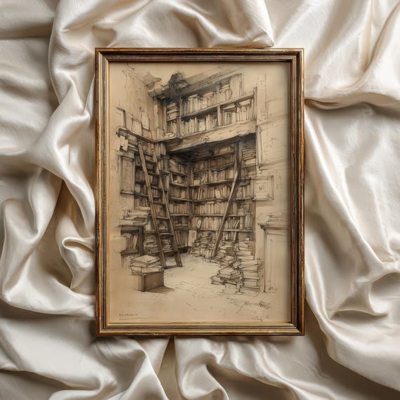 Dark Academia Bookshop Print Moody Library Sketch