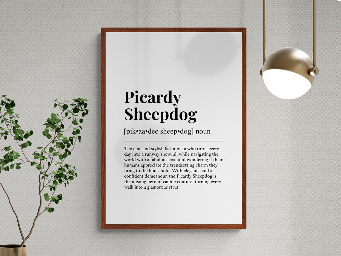 Picardy Sheepdog Funny Definition Dog Poster - Image 3