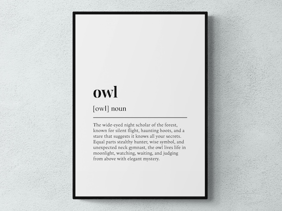 Owl Funny Definition Gift Wall Art Print