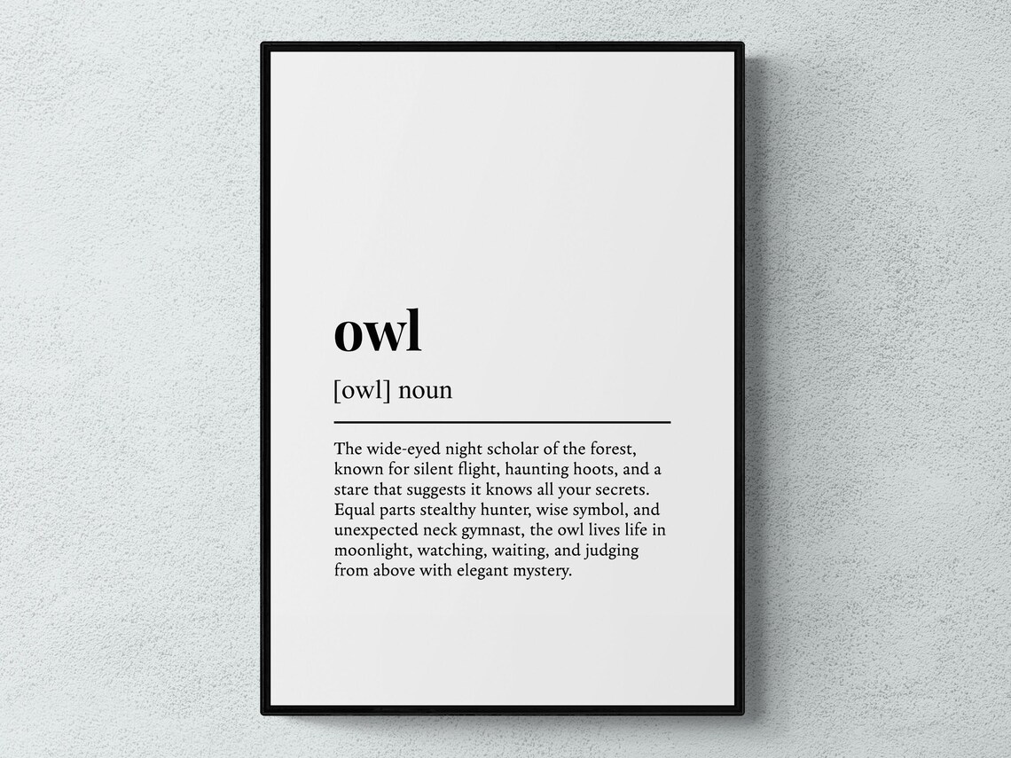 Owl Funny Definition Gift Wall Art Print