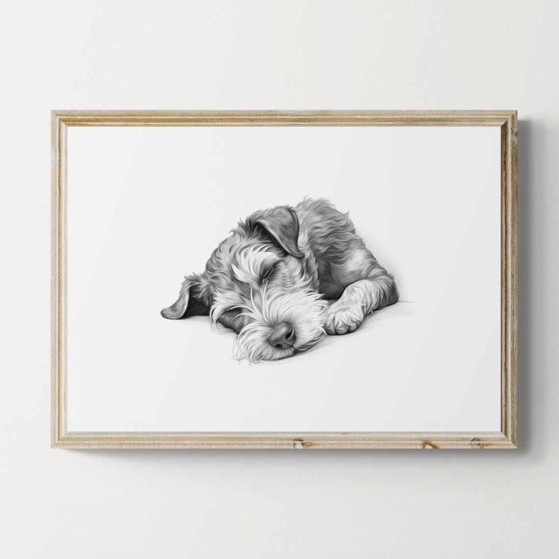 Sleeping Schnauzer Vintage Dog Sketch Art Print