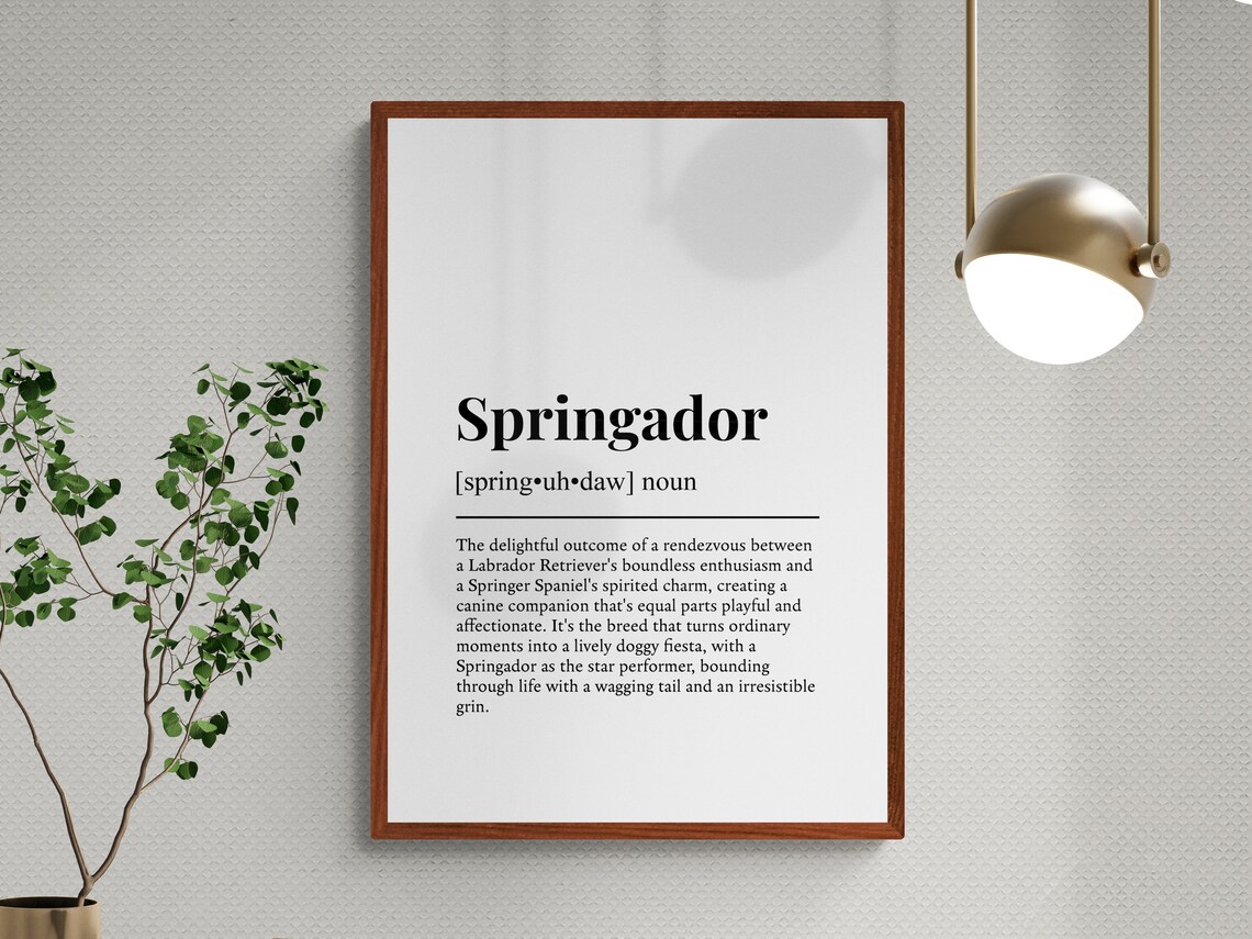 Springador Funny Dog Definition Wall Art Print - Image 3