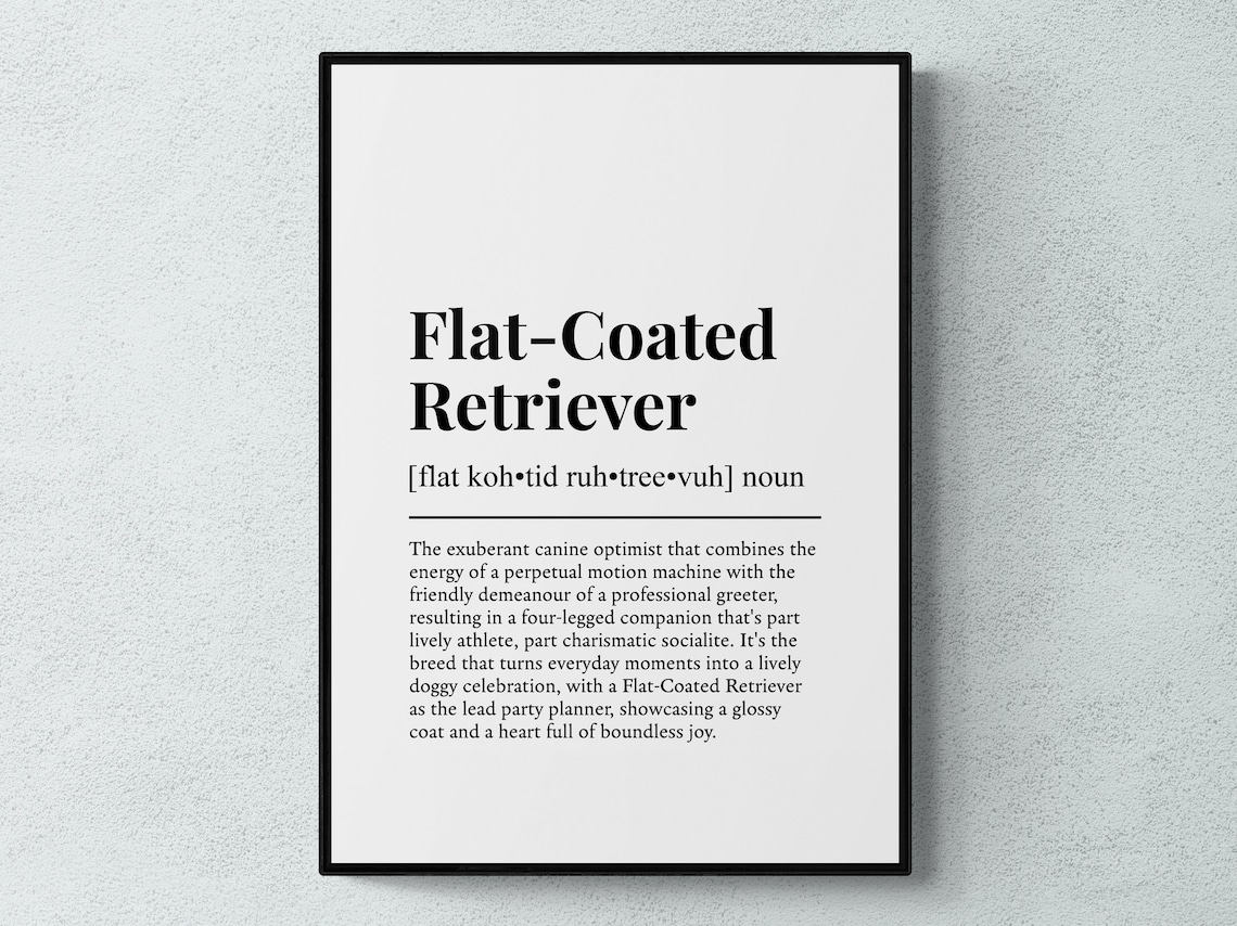 Flat Coated Retriever Funny Definition Poster Print