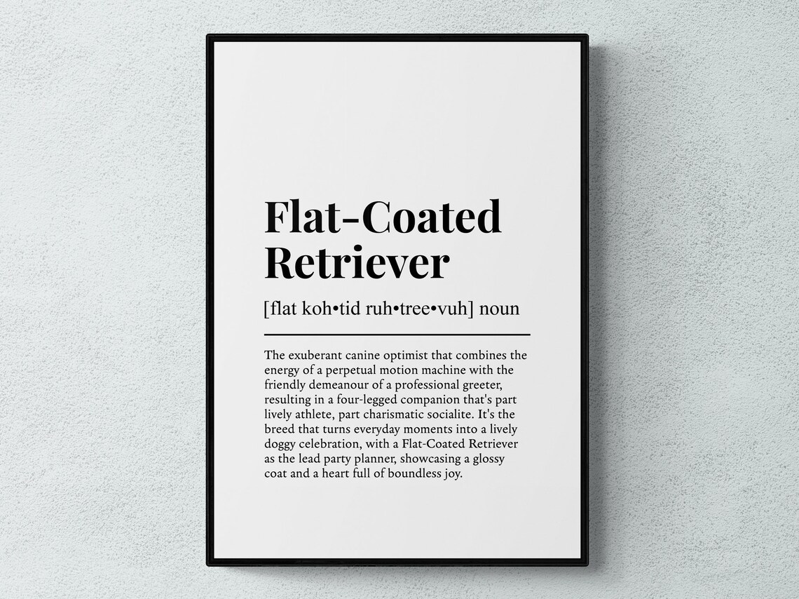 Flat Coated Retriever Funny Definition, Wall Art Print
