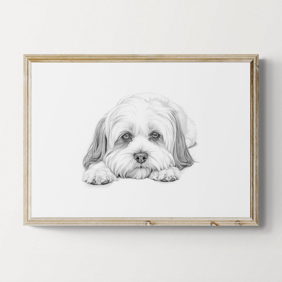 Lhasa Apso Long Silky Hair Sketch Resting Vintage Dog Poster