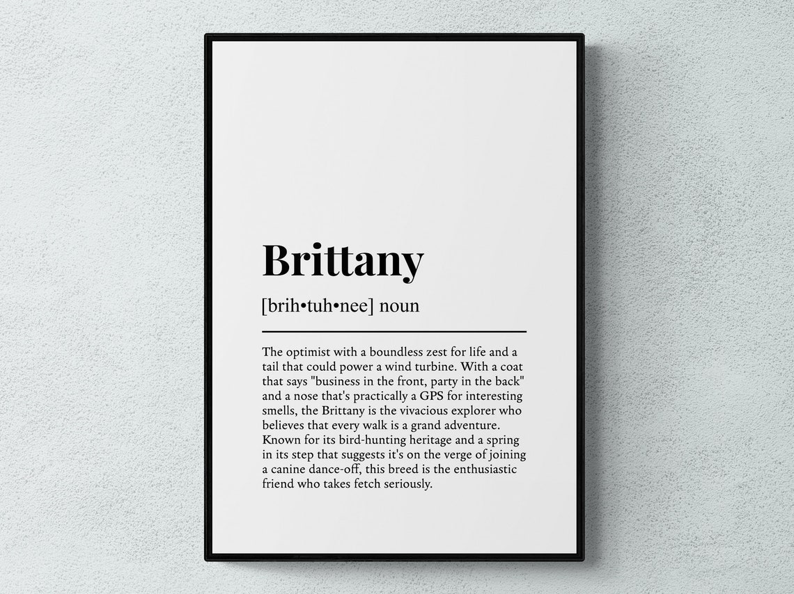 Brittany Dog Funny Definition Dictionary Style Black White Wall Poster
