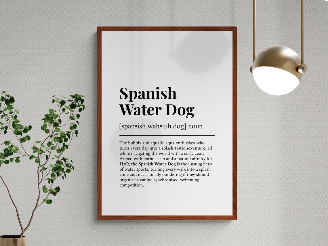 Spanish Water Dog Funny Dictionary Definition Aquatic Breed Gift Print - Image 3