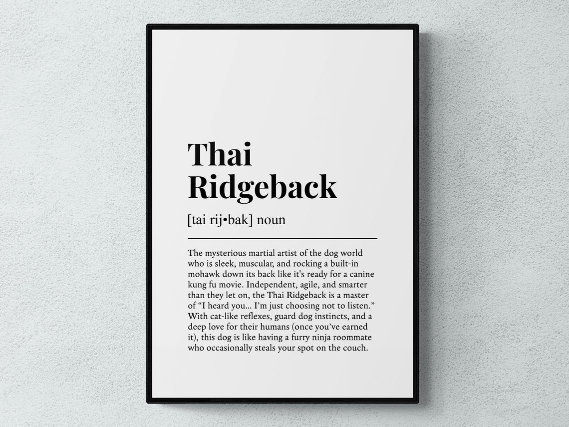 Thai Ridgeback Furry Ninja Roommate Definition Dictionary Poster