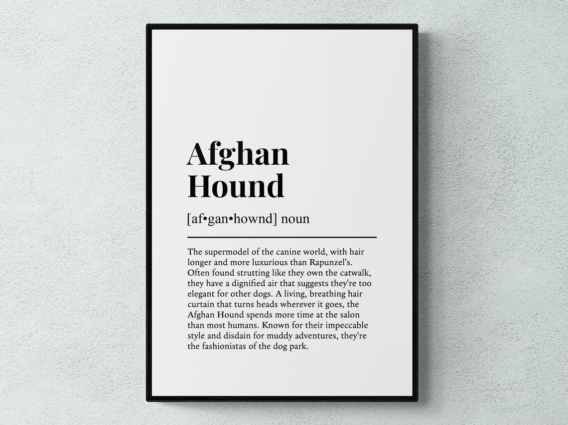 Afghan Hound Funny Definition Wall Art Print
