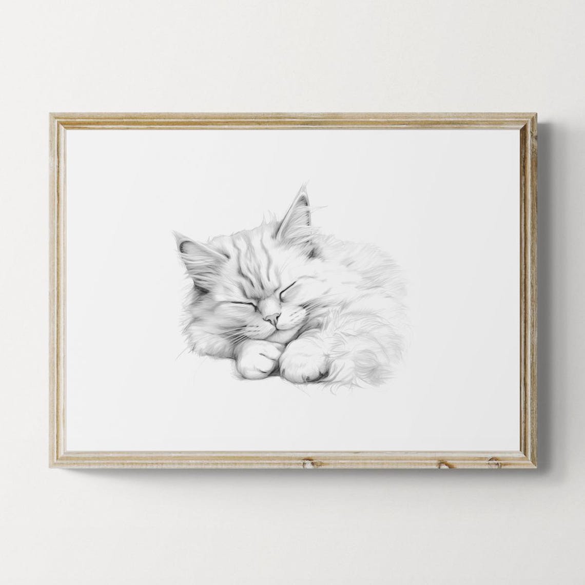 Sleeping Ragdoll Cat Pencil Sketch Minimalist Feline Nap Decor Poster