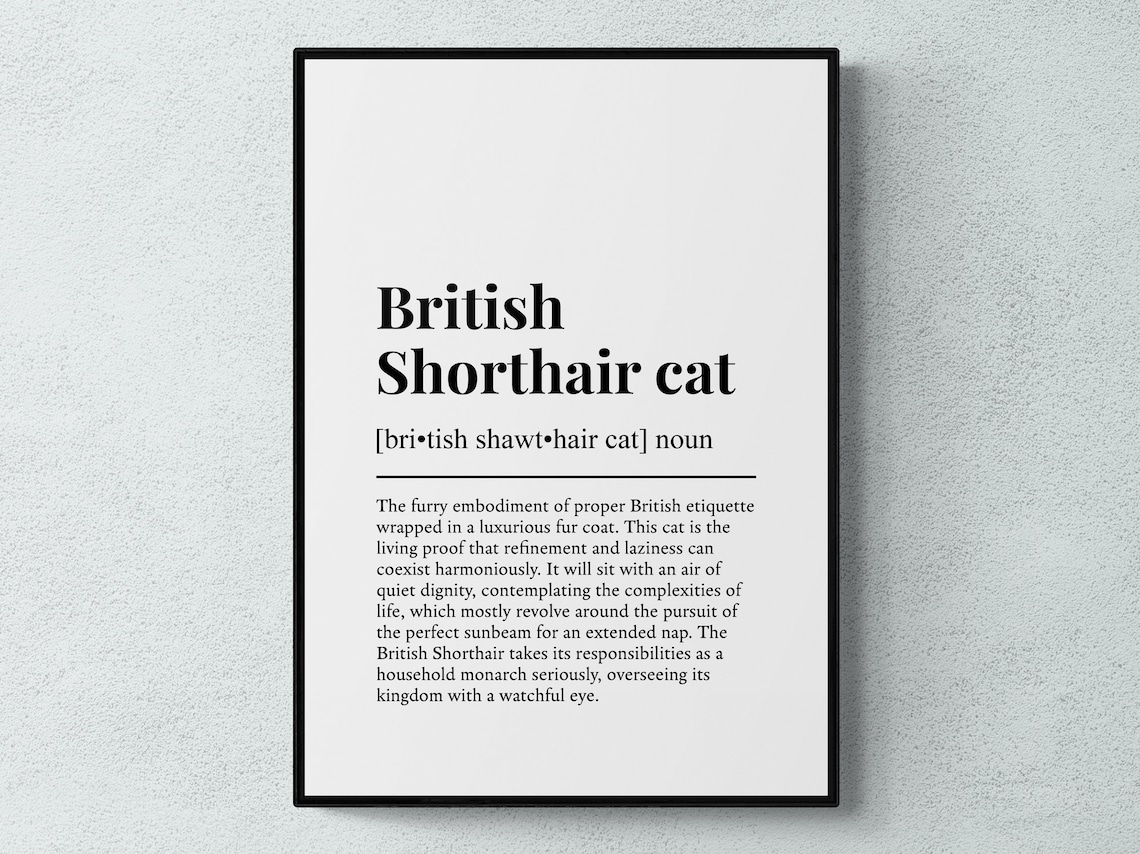 British Shorthair Cat Funny Definition Art Print
