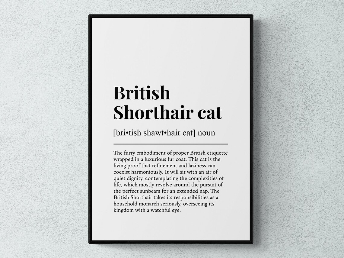 British Shorthair Cat Funny Definition Poster