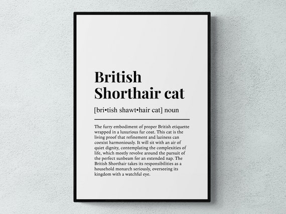 British Shorthair Cat Funny Definition Poster