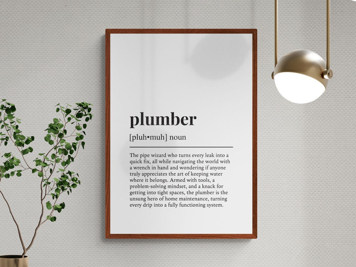Plumber Funny Definition Monochrome Dictionary Wall Art Office Gift - Image 3
