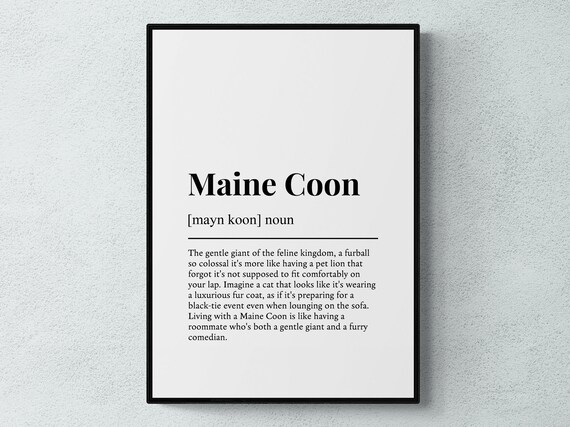 Maine Coon Cat Funny Dictionary Definition Cat Lover Wall Poster