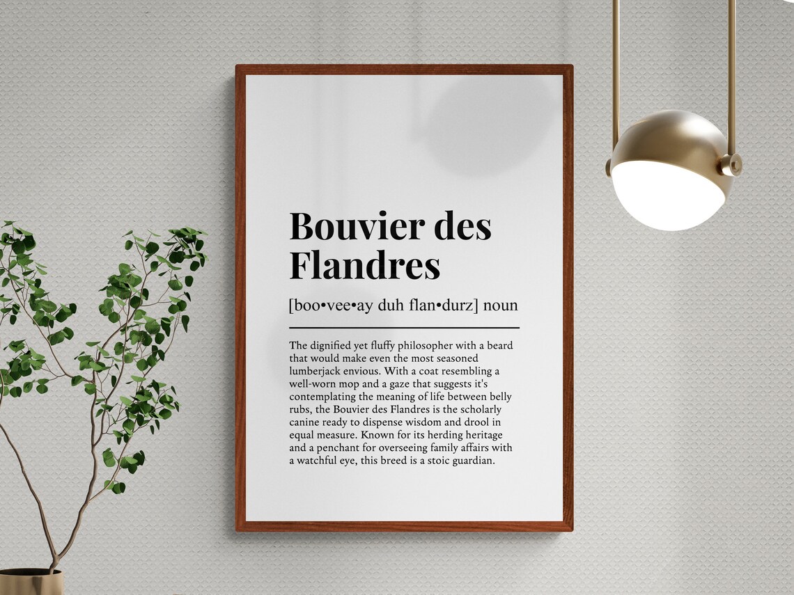 Bouvier Des Flandres Funny Definition Art Print - Image 3