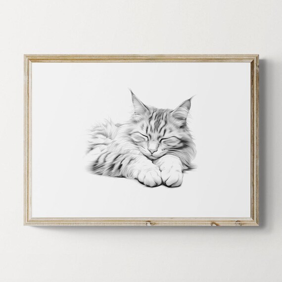 Sleeping Norwegian Forest Cat Sketch Black White Longhair Art Print