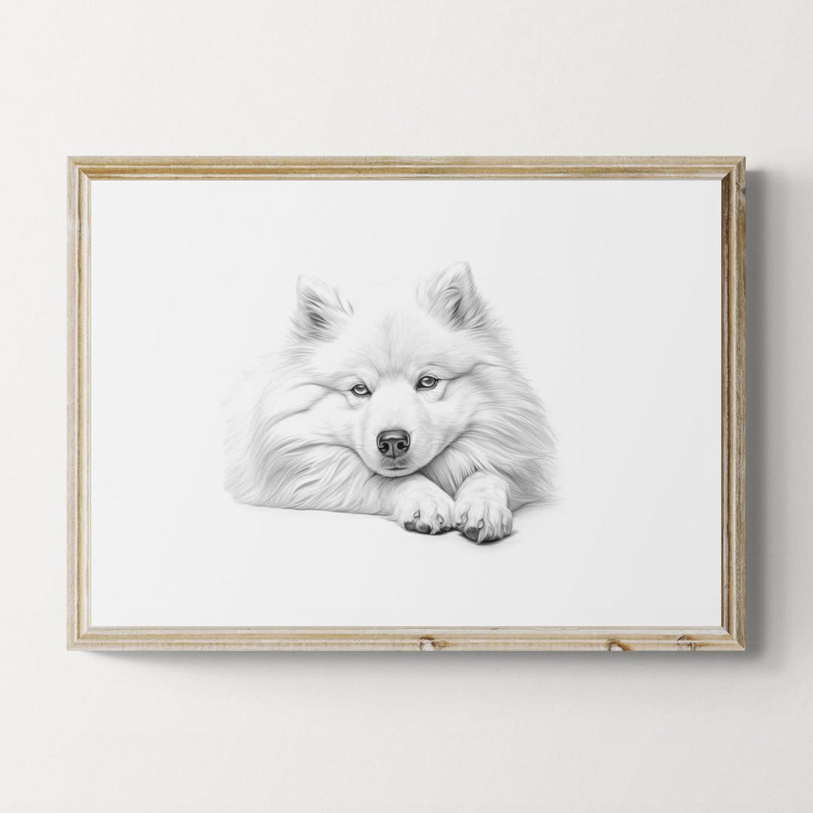 Samoyed Puppy Lying Down Cute Pencil Sketch Farmhouse Dog Print