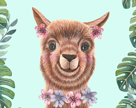 Smiling Baby Llama Pink Flowers Cute Floral Animal Portrait Poster