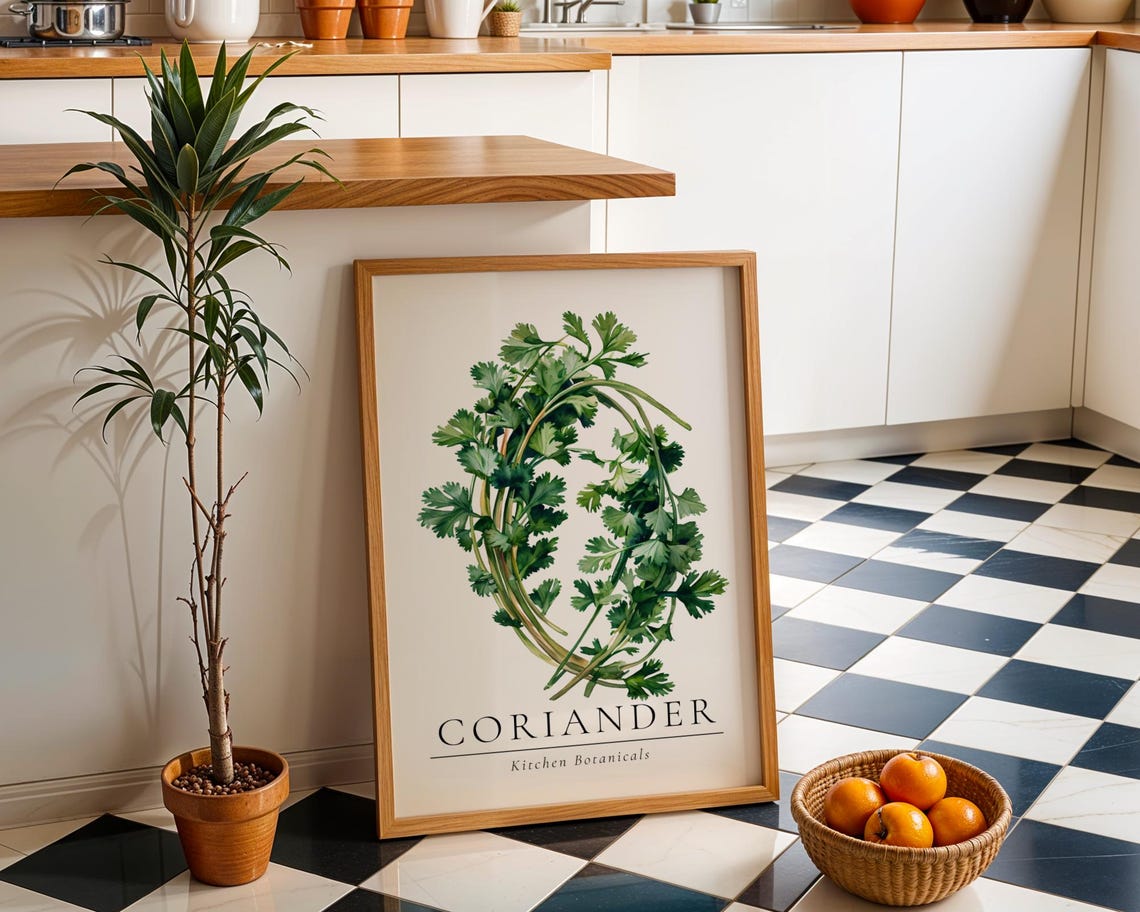 Coriander Herb Kitchen Print Green Botanical Wall Art Modern Culinary Illustration Fresh Poster Chefs Garden Decor