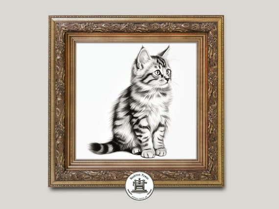 Fluffy Tabby Kitten Pencil Drawing Sideways Glance Cat Poster