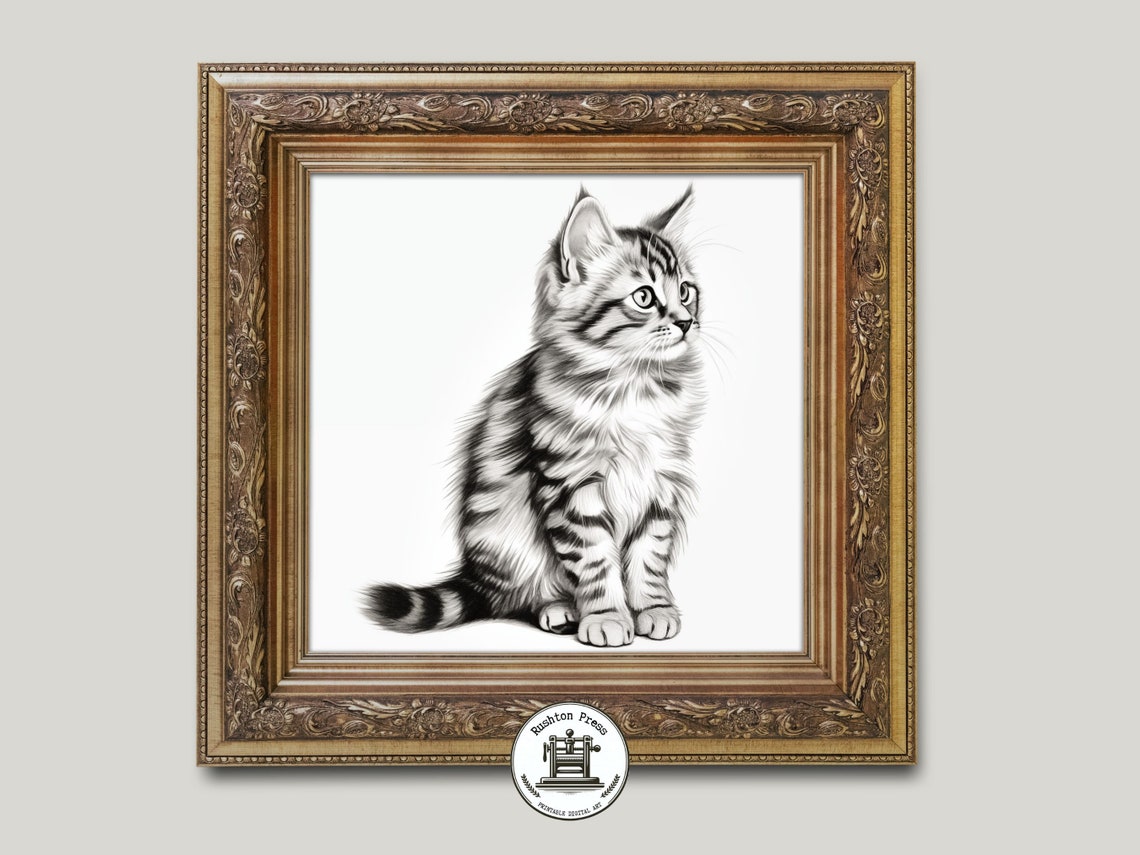 Fluffy Tabby Kitten Pencil Drawing Sideways Glance Cat Poster