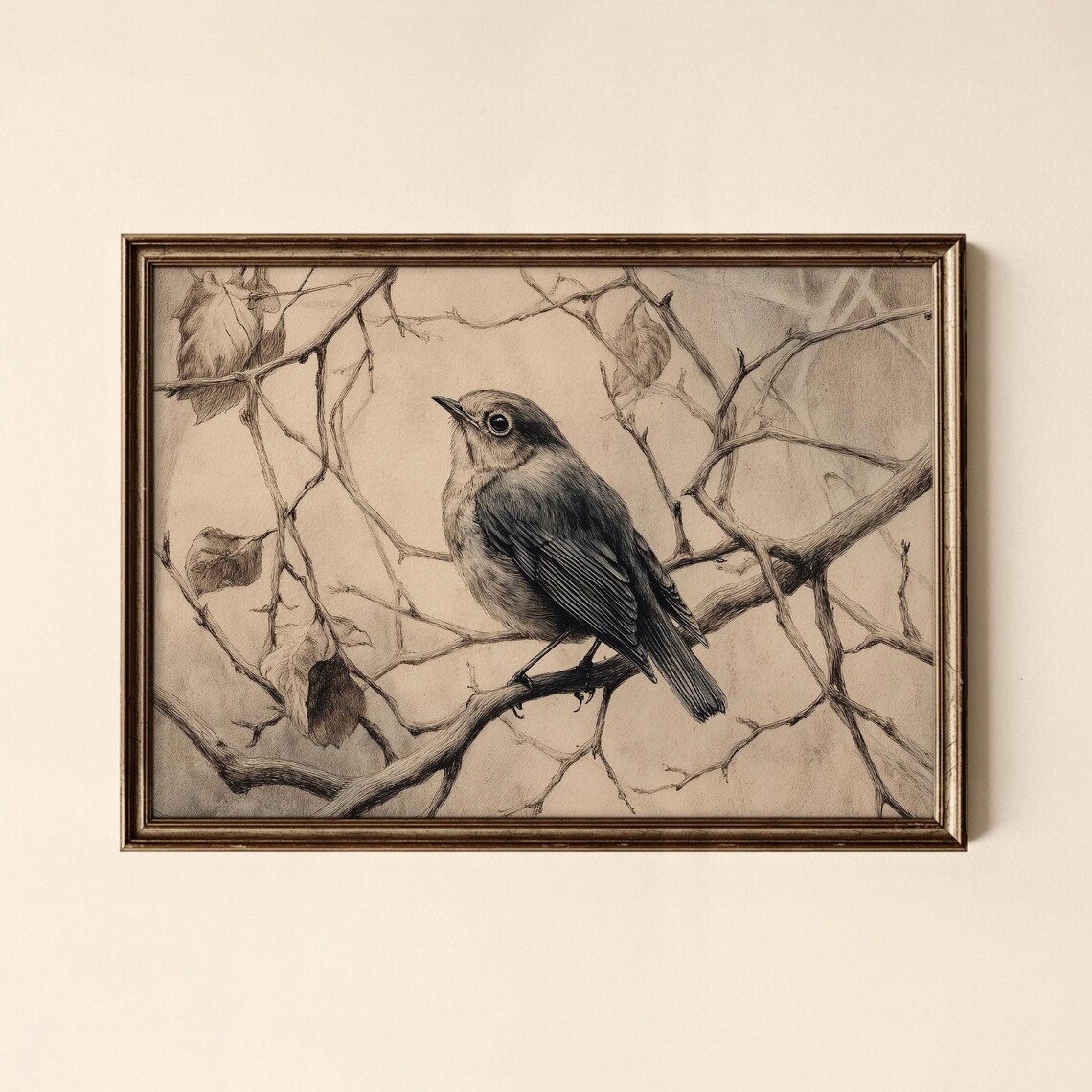 Vintage Songbird On Branch Sepia Sketch Classic Wildlife Art Poster