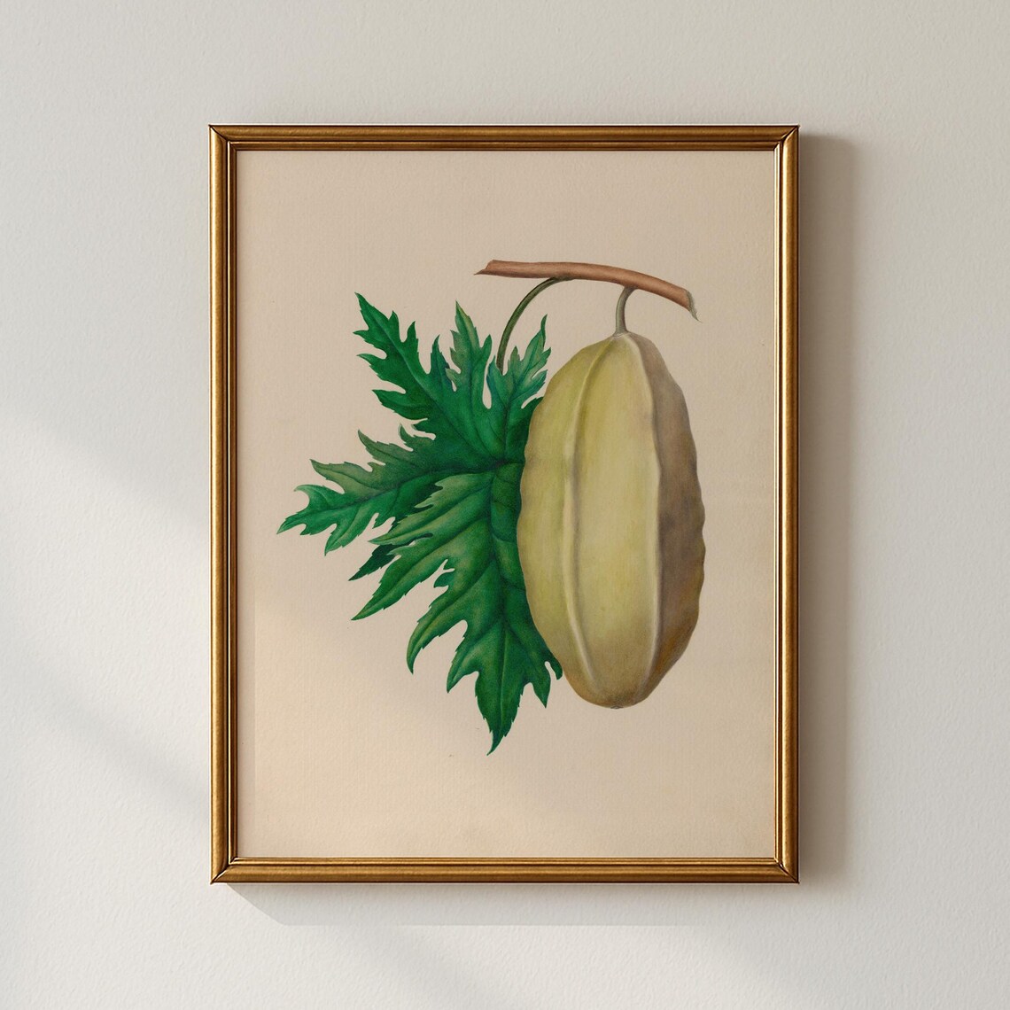 Classic Vintage Papaya Fruit Botanical Illustration Art Print