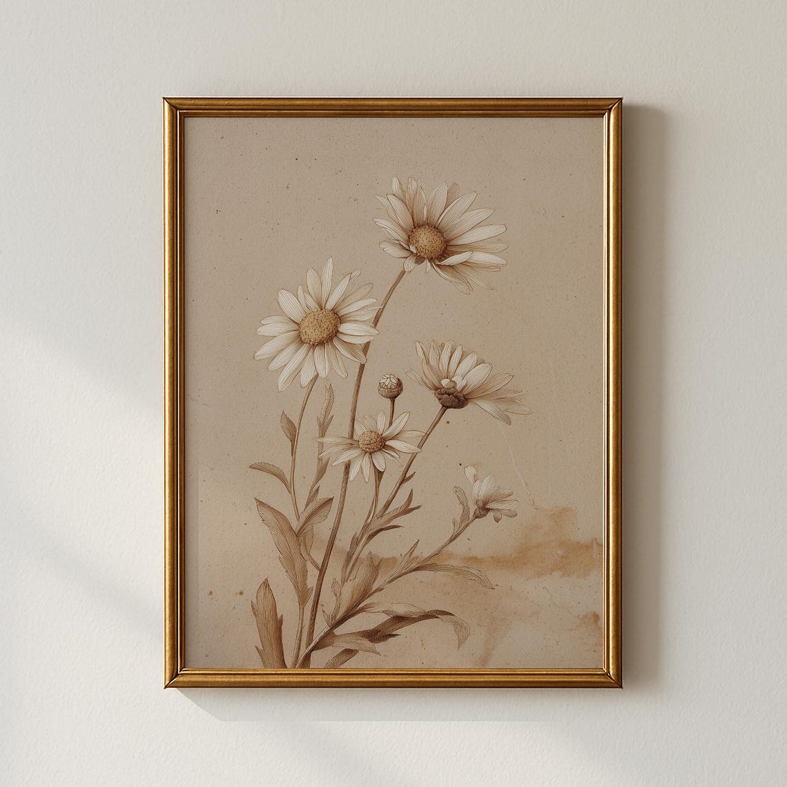 Spring Daisy Sketch Botanical Floral Vintage Style Art Print