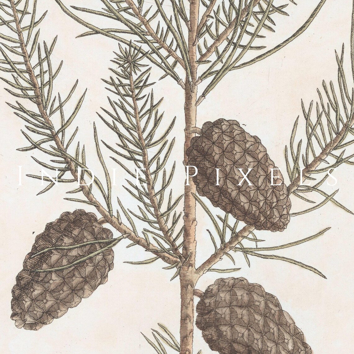 Set of 8 Vintage Winter Botanicals Christmas Gallery Wall Art Set - Image 4