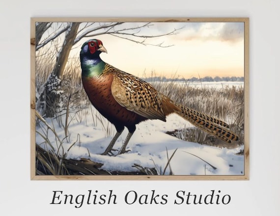 Ring Necked Pheasant in Snowy Winter Field Vintage Wildlife Art Poster